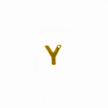 Cargar imagen en el visor de la galería, Inicial Y de Acero Inoxidable (10 piezas)
