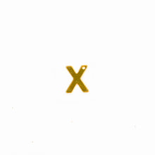 Cargar imagen en el visor de la galería, Inicial X de Acero Inoxidable (10 Piezas)
